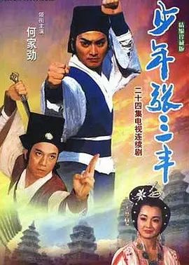 少年张三丰海报