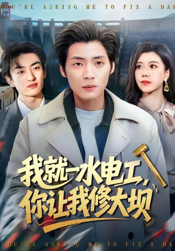 我就一水电工，你让我修大坝海报