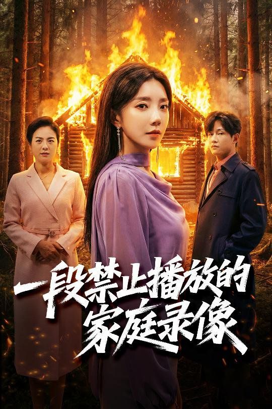 一段禁止播放的家庭录像封面图