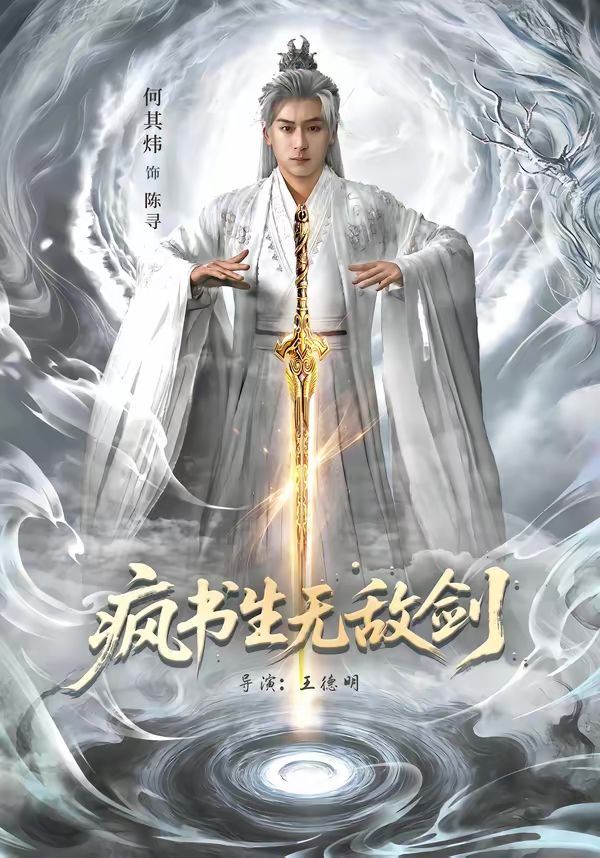 疯书生无敌剑海报