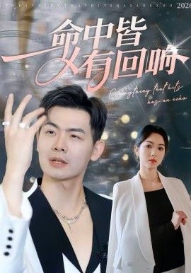 命中皆有回响封面图