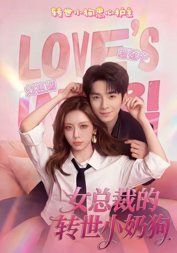 女总裁的转世小奶狗海报