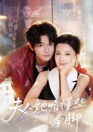 夫人她略懂些拳脚