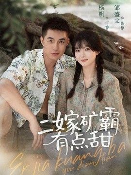 二嫁矿霸有点甜封面