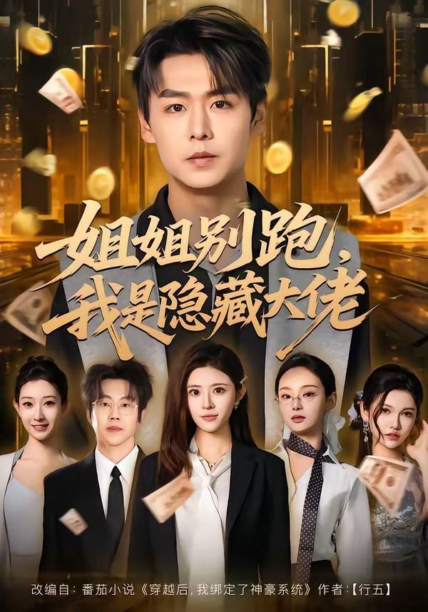 姐姐别跑，我是隐藏大佬海报