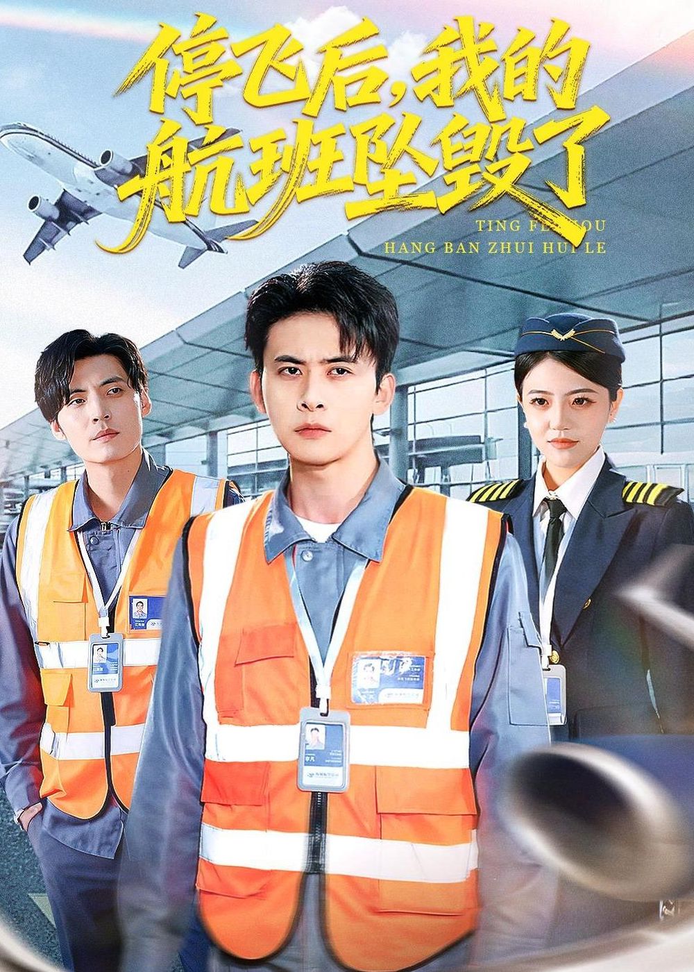 停飞后我的航班坠毁了封面图