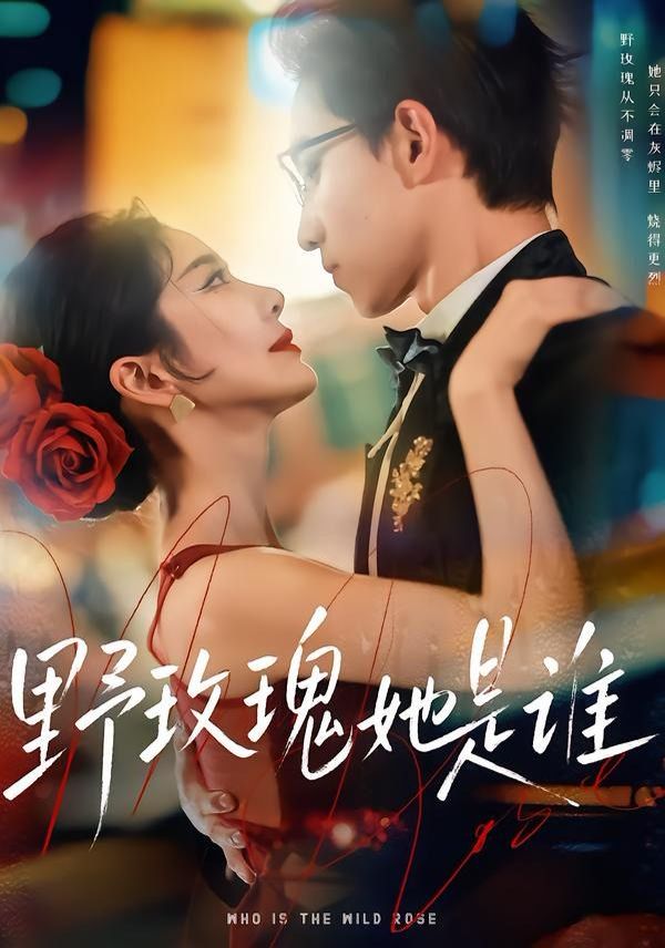 野玫瑰她是谁海报