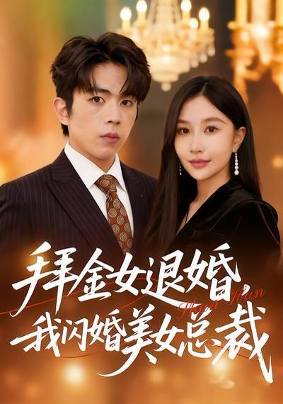 拜金女退婚，我闪婚美女总裁海报