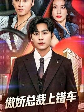 傲娇总裁上错车封面图