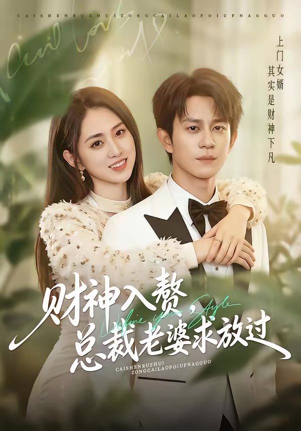 财神入赘，总裁老婆求放过海报