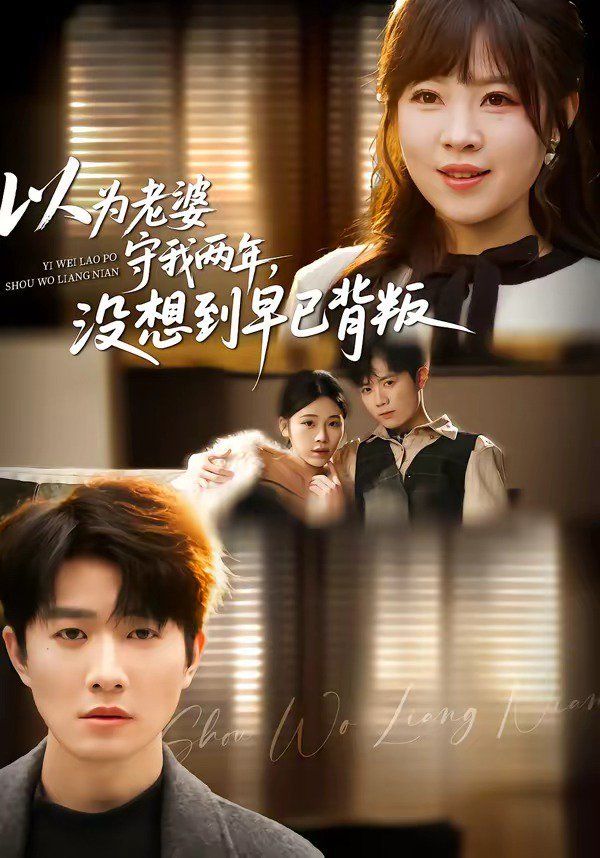 以为老婆守我两年，没想到早已背叛海报