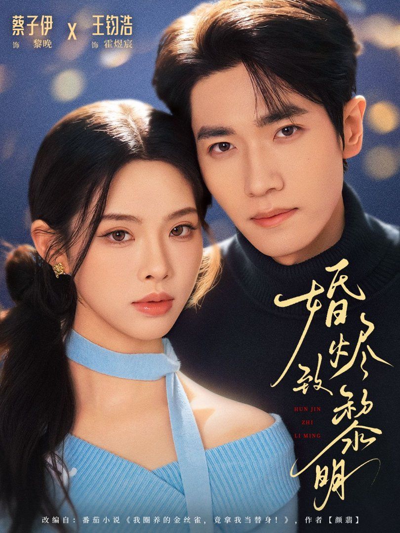 婚烬致黎明封面图