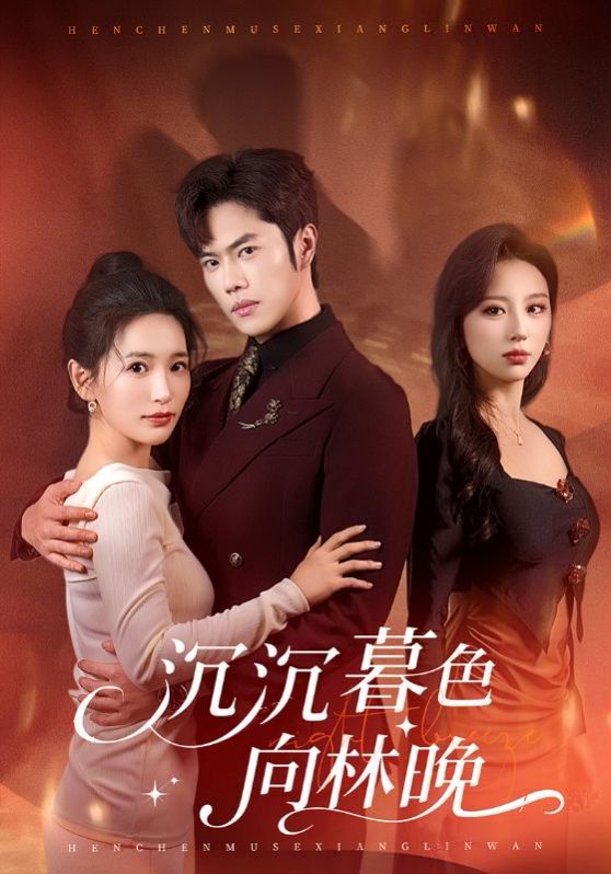 沉沉暮色向林晚封面图