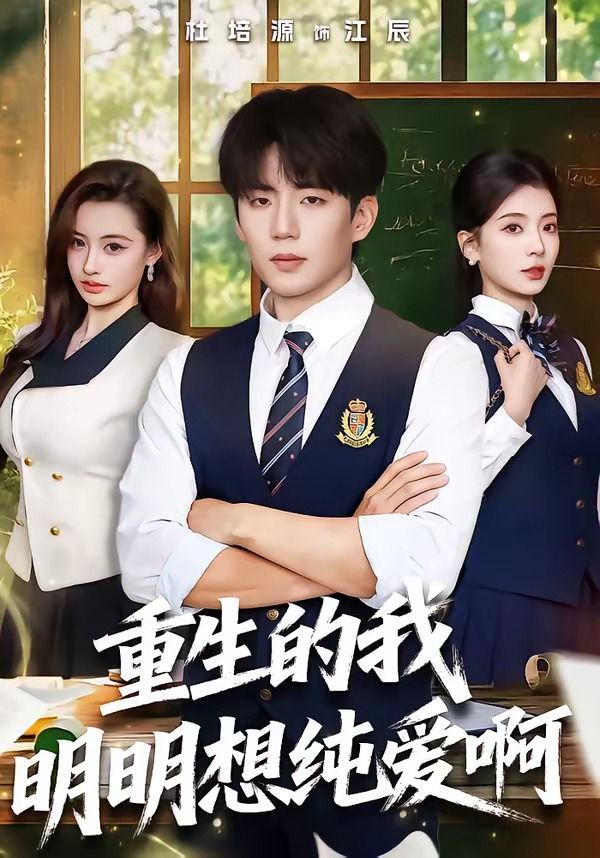 重生的我明明想纯爱啊海报