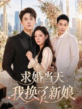 求婚当天我换了新娘海报