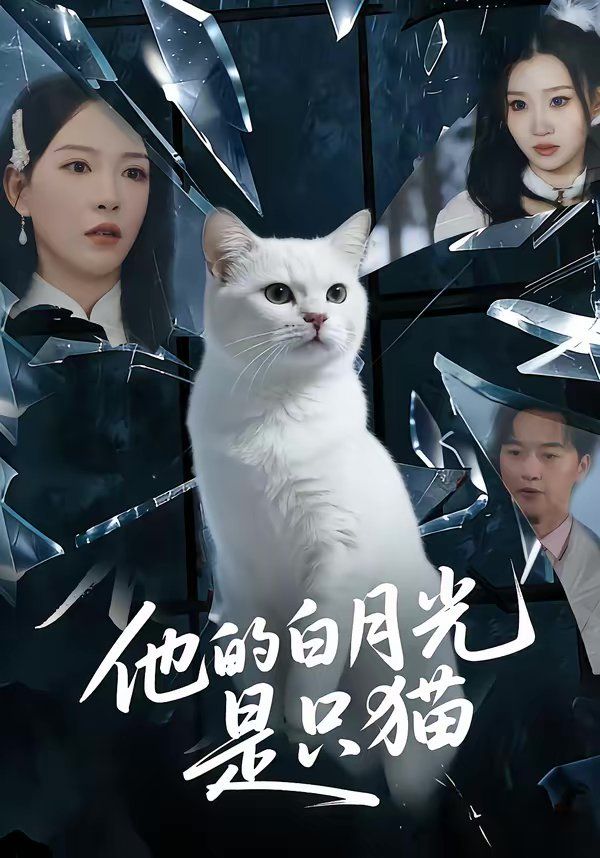 他的白月光是只猫海报