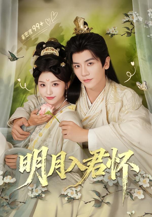 明月入君怀封面图