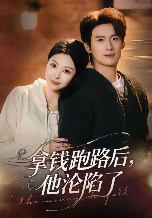 拿钱跑路后，他沦陷了海报