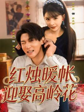 红烛暖帐，迎娶高岭花封面图