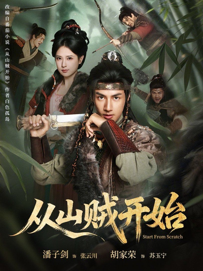 从山贼开始封面图