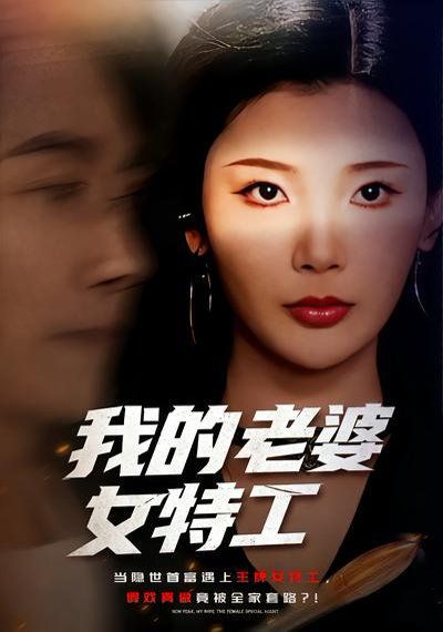 我的老婆女特工海报