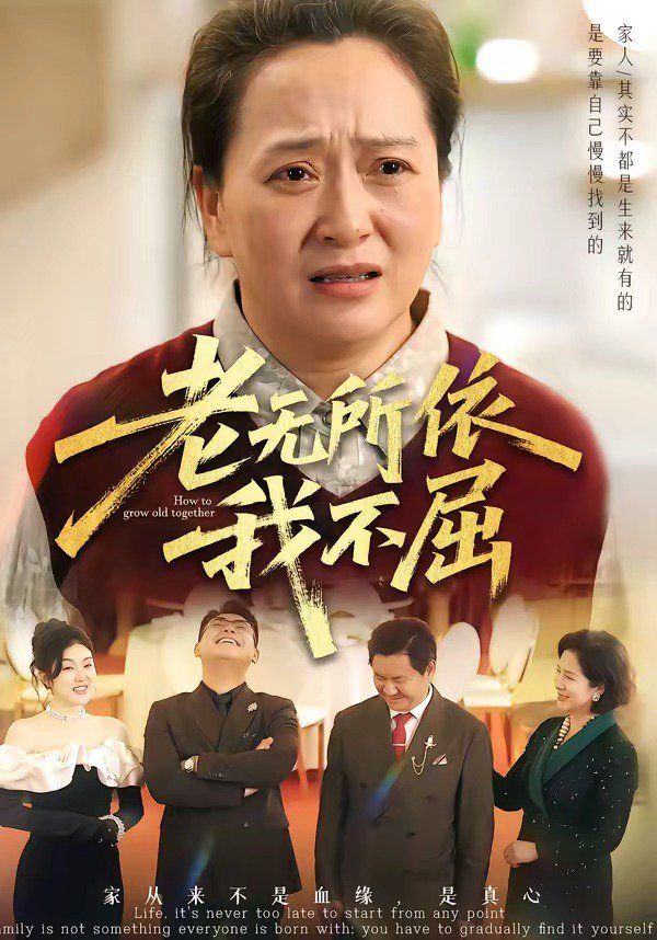 老无所依我不屈海报