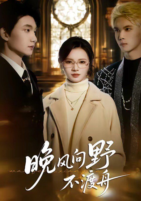 晚风向野不渡舟海报