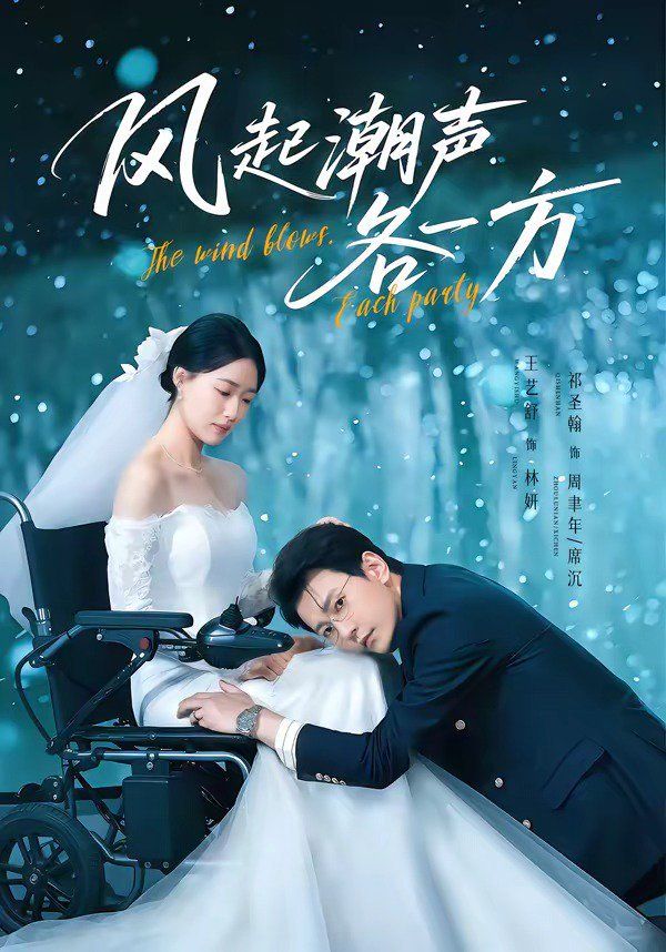 风起潮声各一方封面图