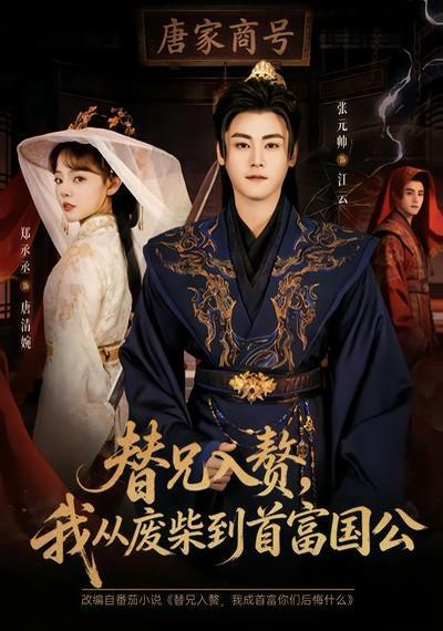 替兄入赘，我从废柴到首富国公海报