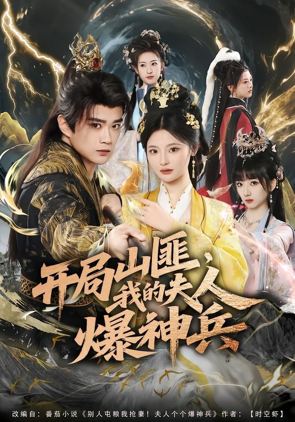 开局山匪我的夫人爆神兵封面图