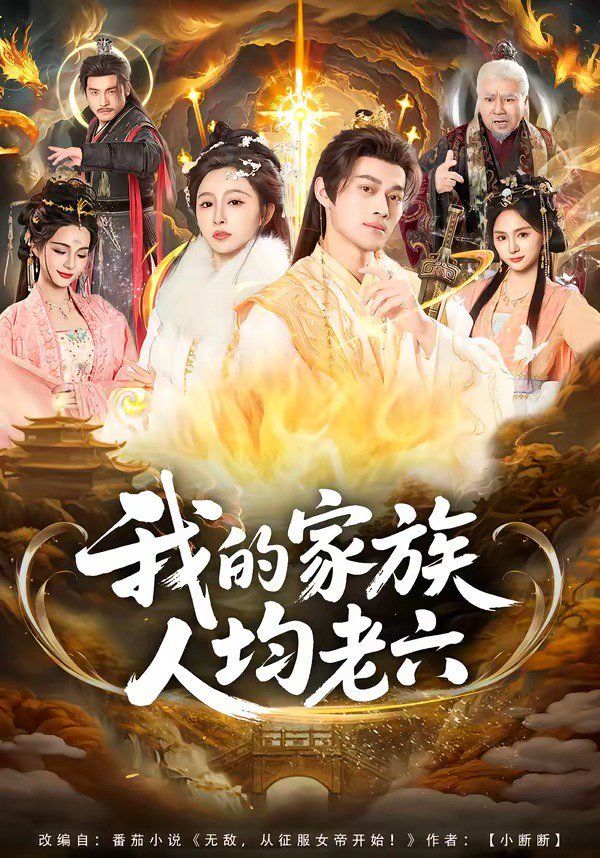 我的家族人均老六海报