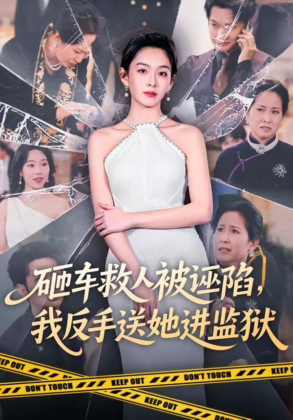 砸车救人被诬陷我反手送她进监狱封面图