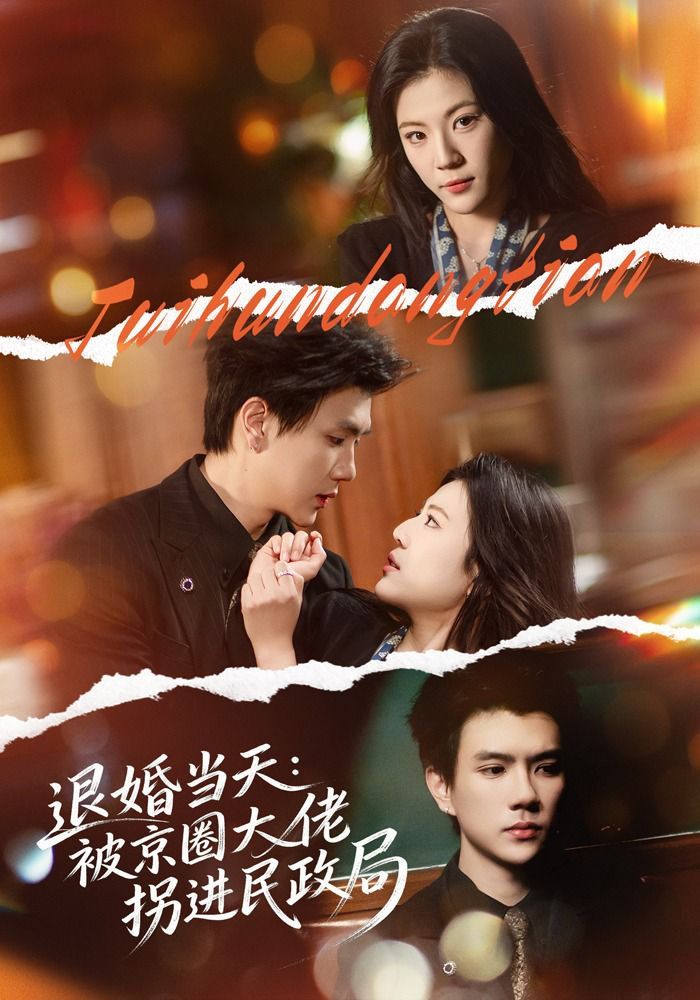 退婚当天：被京圈大佬拐进民政局海报