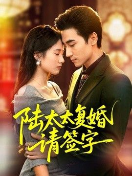 陆太太复婚请签字封面图