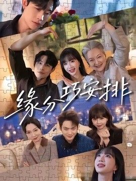 缘分巧安排封面图