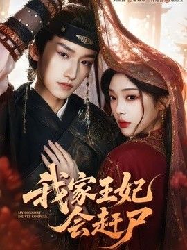 我家王妃会赶尸
