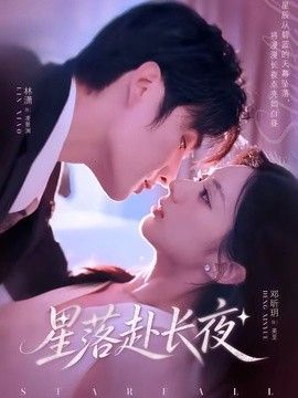 星落赴长夜封面图
