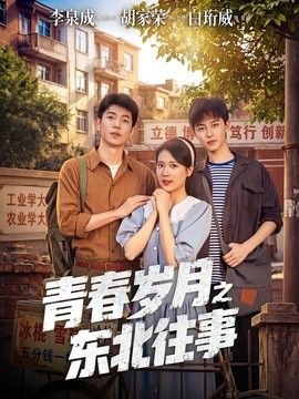 青春岁月之东北往事