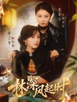林深风起时封面图