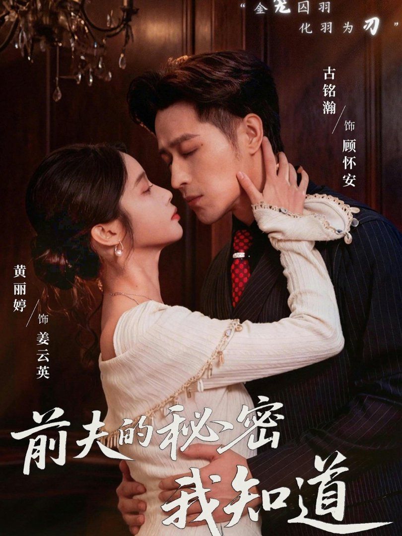 前夫的秘密我知道封面图