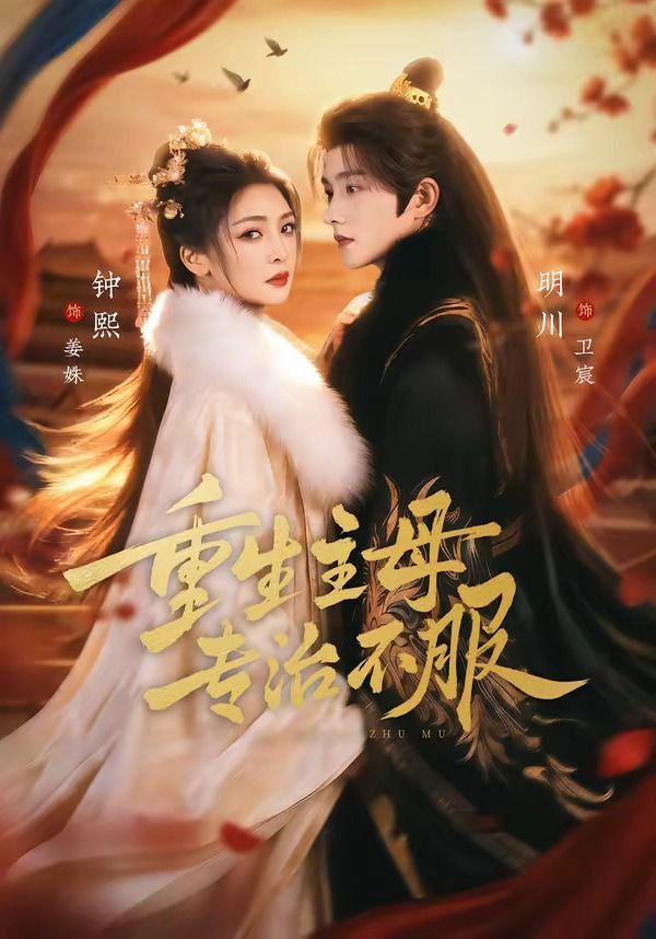 重生主母，专治不服海报