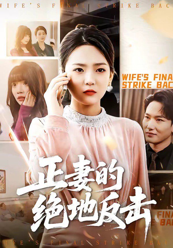 正妻的绝地反击海报