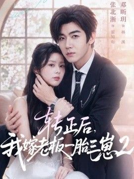 转正后,我嫁老板一胎三崽第二部