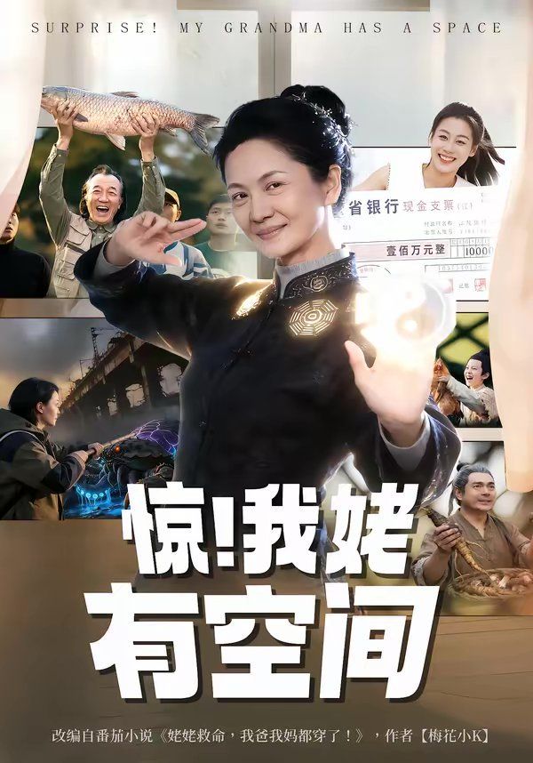 惊！我姥有空间海报