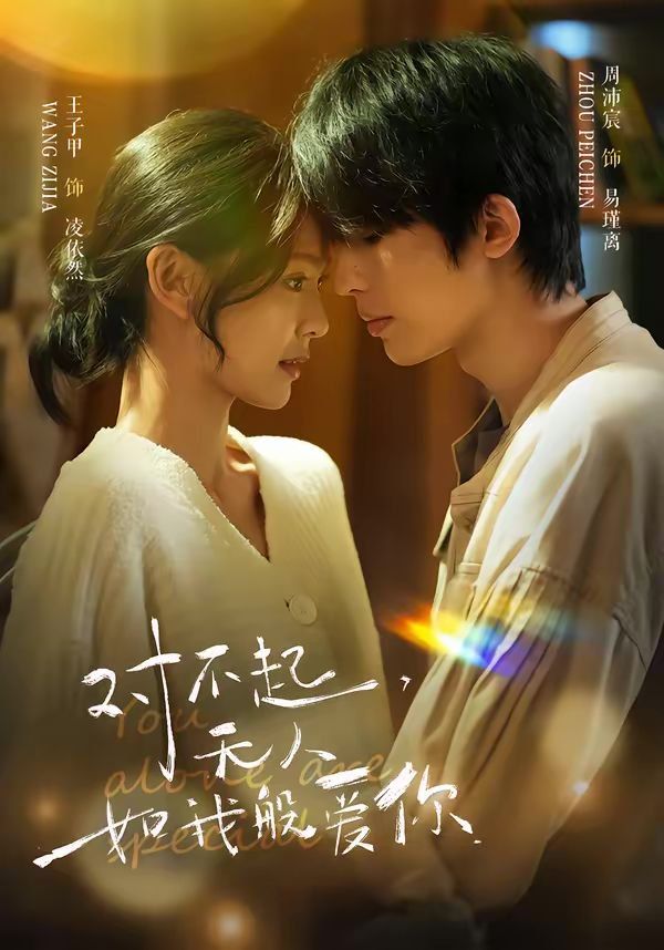 对不起无人如我般爱你封面图