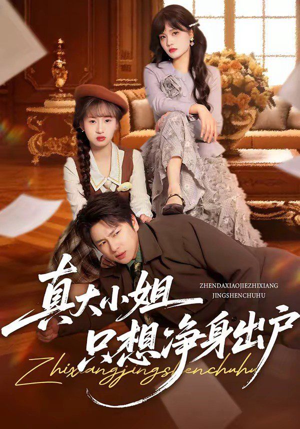 真大小姐只想净身出户海报