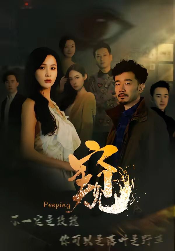 窥（窥伺）海报