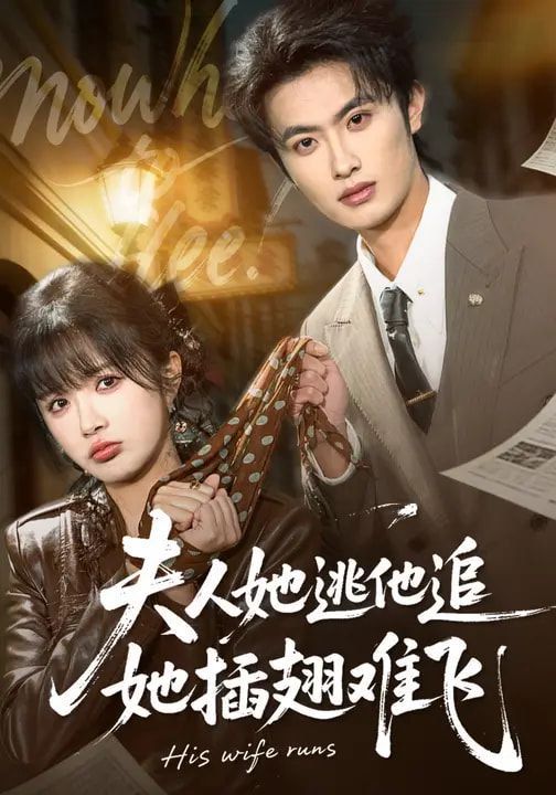 夫人她逃他追，她插翅难飞封面图