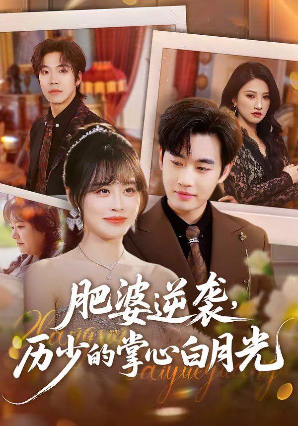 肥婆逆袭历少的掌心白月光封面图