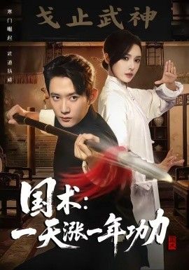 国术，一天涨一年功力海报